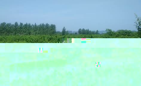 說明: G:\Photo\100ANDRO\DSC_0164.JPG