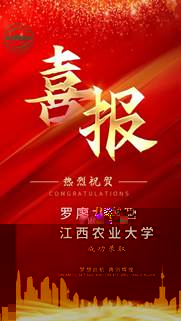 說明: 羅廖龍岩